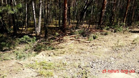 На Житомирщині розпочався ремонт дороги Народичі–Малин