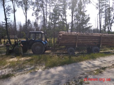 На Житомирщині прикордонники затримали трактор без номерних знаків, завантажений деревиною