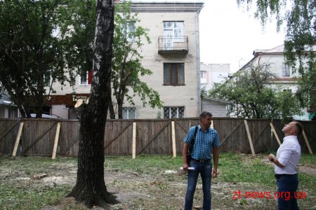Зрізані аварійні дерева у сквері на Лятошинського обіцяють замінити новими