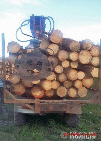 На Житомирщині поліцейські затримали два лісовози з деревиною без документів