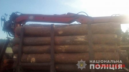 На Житомирщині поліцейські затримали два лісовози з деревиною без документів