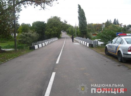 На Житомирщині водій ВАЗу на мосту збив пенсіонерку