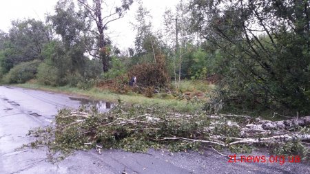 Минулої доби на Житомирщині внаслідок негоди знеструмлено 41 населений пункт в 7 районах області