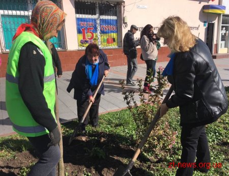 До Міжнародного Дня людей похилого віку у Житомирі висадили алею зелених насаджень
