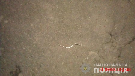 В Житомирській області чоловік кинув гранату в боржника