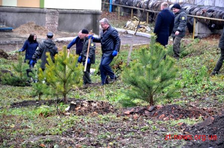 Керівники області разом з депутатами та лісниками посадили сосни на території онкодиспансеру