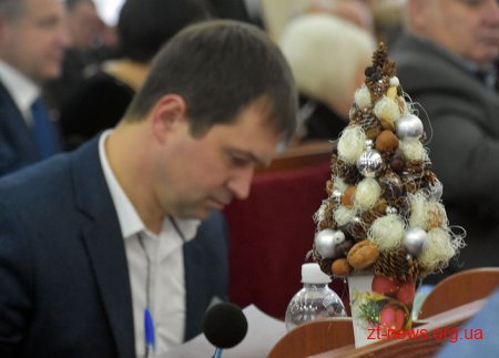 Депутати Житомирської облради обирали подарунки на новорічному ярмарку