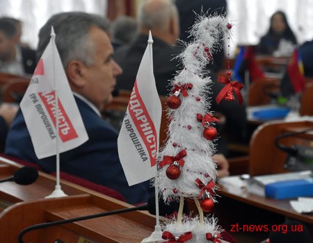 Депутати Житомирської облради обирали подарунки на новорічному ярмарку