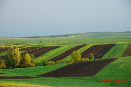ОТГ Житомирщини отримали земельні ділянки у комунальну власність загальною площею 94,9 тис. гектарів