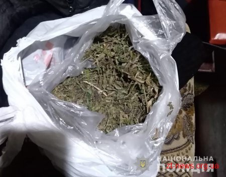 У Житомирі поліцейські вилучили наркотики з двох приватних помешкань