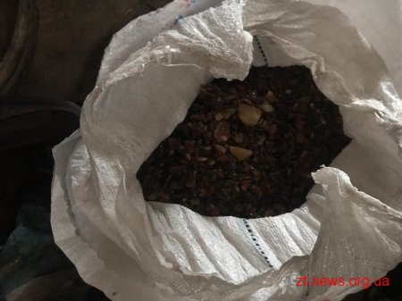 На Житомирщині правоохоронці викрили скупників бурштину та вилучили 20 кг коштовного каменю