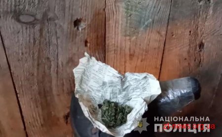 Поліцейські вилучили наркотики з помешкання жителя Звягельщини
