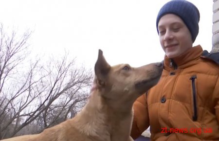 У Коростені 9-класник врятував собаку, яка провалилася під кригу