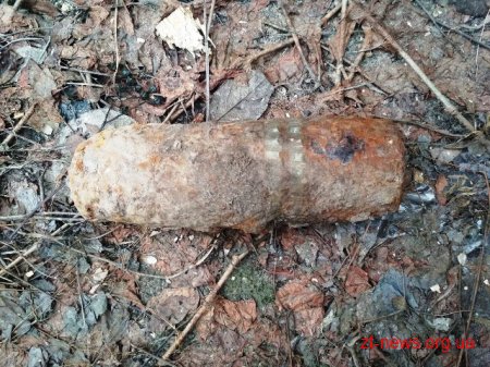 Два артснаряда виявили "мисливці за металобрухтом" у Коростенському районі