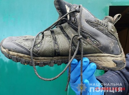 Поліцейські встановлюють особу загиблого, знайденого у лісі на Житомирщині