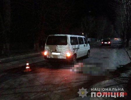 На Житомирщині водій ВАЗу збив 5-річну дитину