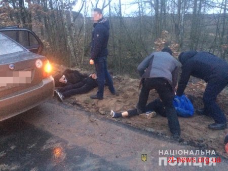 На Житомирщині поліція затримала групу угонщиків