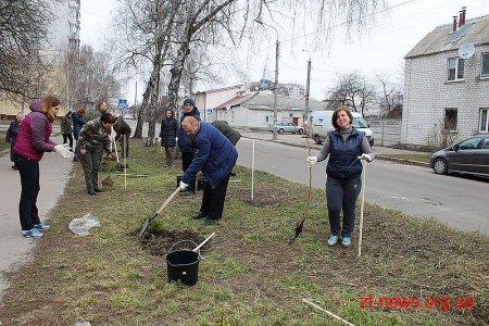 В День лісу в Житомирі посадили дерева