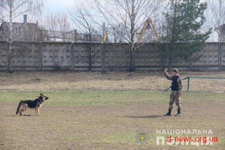 У Житомирі поліцейські кінологи дивували дітей яскравими виступами службових собак