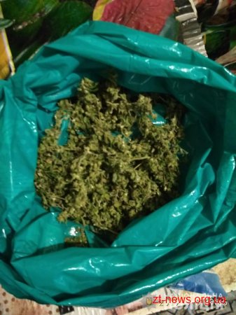 У Житомирі поліцейські під час обшуку вилучили понад 10 кг марихуани