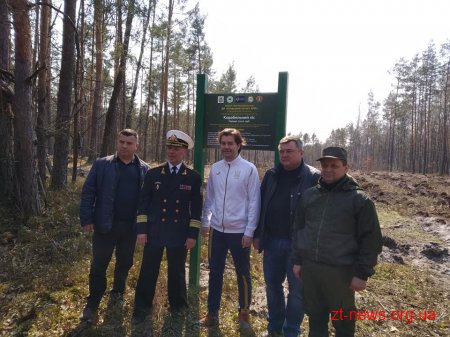 В Олевську висадили корабельний ліс
