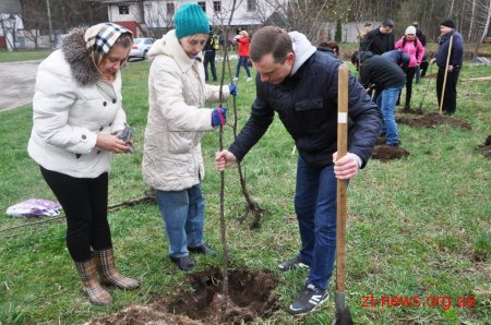 Працівники ОДА у Житомирі висадили 120 дерев та 50 кущів