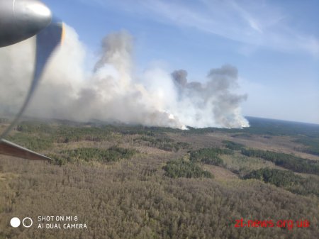 На Житомирщині локалізували масштабні пожежі у лісових масивах на території 3-х районів