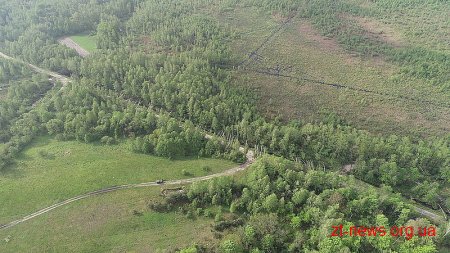 Смерч понівичив ліс у Городниці на Житомирщині
