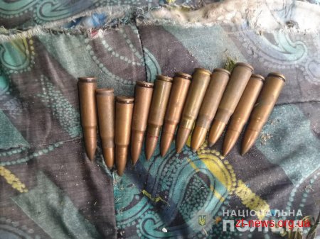 За тиждень поліція Житомирщини вилучила у громадян десять одиниць зброї та понад півтисячі боєприпасів