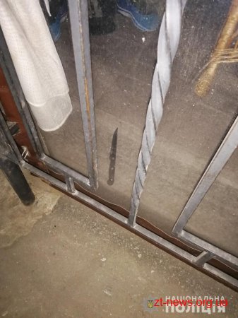У Житомирі поліцейські охорони затримали нічного «відвідувача» зачиненого кафе