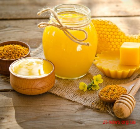 Житомирщина є лідером із виробництва меду та бджолопродуктів в Україні