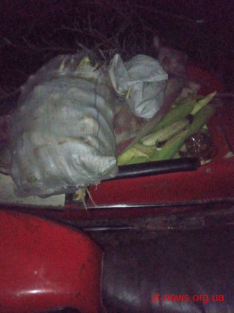 В Овруцькому районі поліцейські охорони затримали чоловіка під час крадіжки кукурудзи з поля