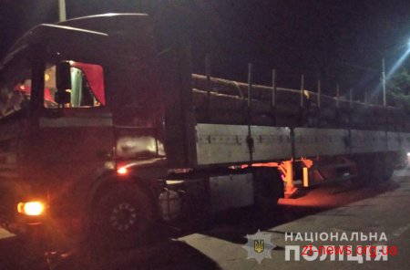 На Житомирщині поліція розлідує крадіжку деревини