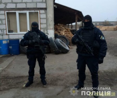 В Олевському районі поліцейські провели близько десятка обшуків на нелегальних пилорамах