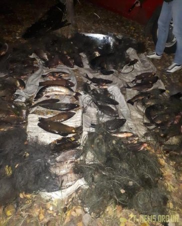 На Тетереві браконьєр ловив рибу 18 сітками