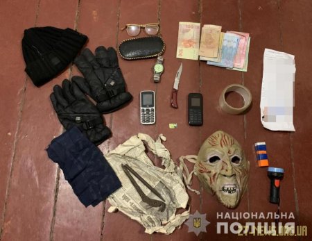 Підозрюваного у нападі на пенсіонерку в Андрушівському районі затримали правоохоронці