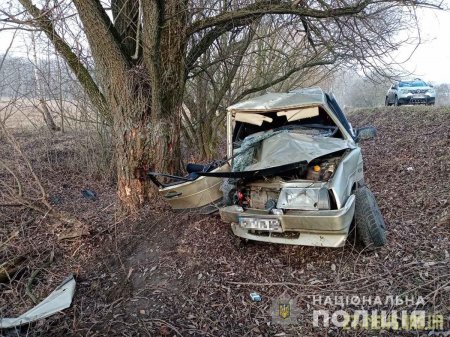 На Любарщині автомобіль в’їхав у дерево - двоє людей загинули