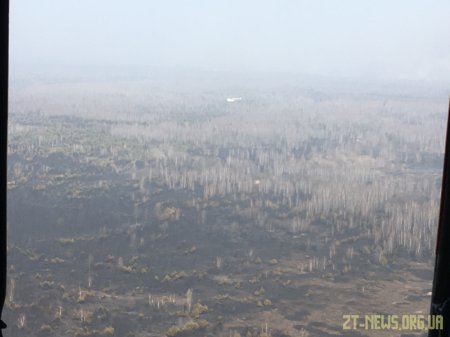 Триває гасіння лісової пожежі в Народицькому районі