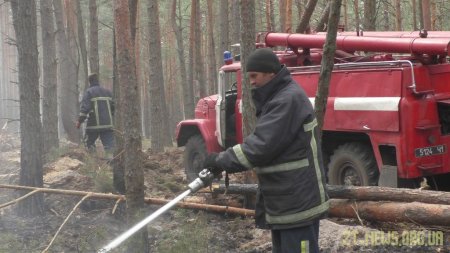 Оперативна інформація щодо ліквідації лісових пожеж на території Житомирщини