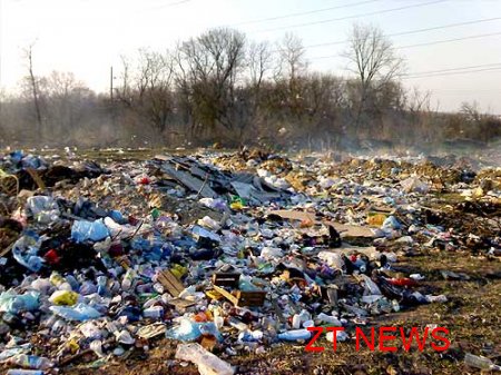 Міська рада Житомира призупинила проведення конкурсу на вивіз сміття