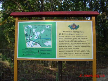 У житомирській області у лісгоспі почали розводити диких кабанів