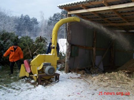 У Житомирі вже 2 рік новорічні ялинки перероблюють на паливо