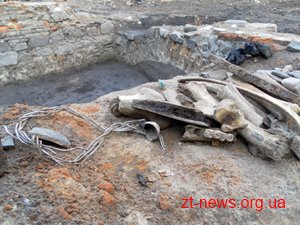 У Житомирі вирішували подальшу долю розкопок на Замковій горі