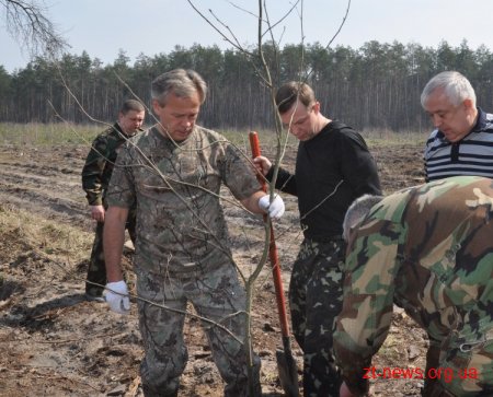 У лісгоспі Радомишльського району відбулась Всеукраїнська акція "Майбутнє лісу – в твоїх руках"