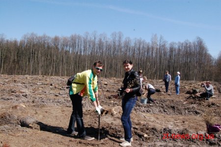На Житомирщині з'явилась вже четверта ділянка "журналістського лісу"