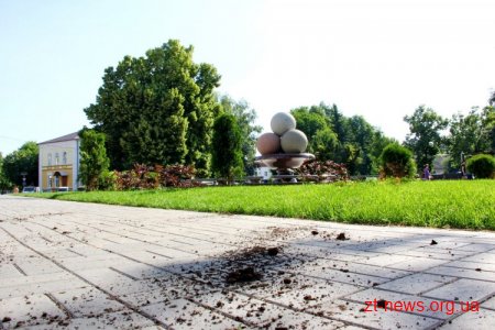 У Житомирі вкрали 7 декоративних кущів біля пам’ятника морозиву