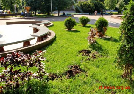 У Житомирі вкрали 7 декоративних кущів біля пам’ятника морозиву