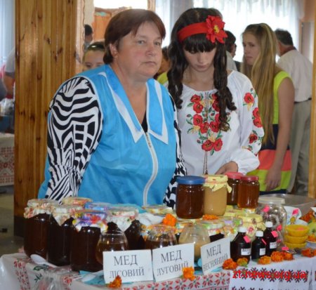 Кожна одинадцята тонна меду в Україні - з Житомирщини