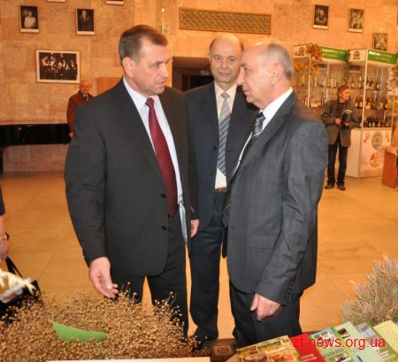 Сільськогосподарські товаровиробники отримуватимуть по 2 тис. грн за 1 га посіву льону