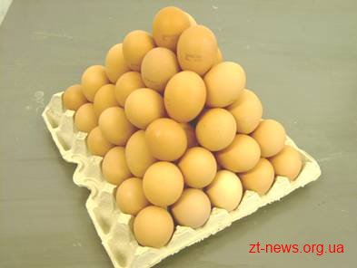 На Житомирщині найнижчі ціни на курячі яйця